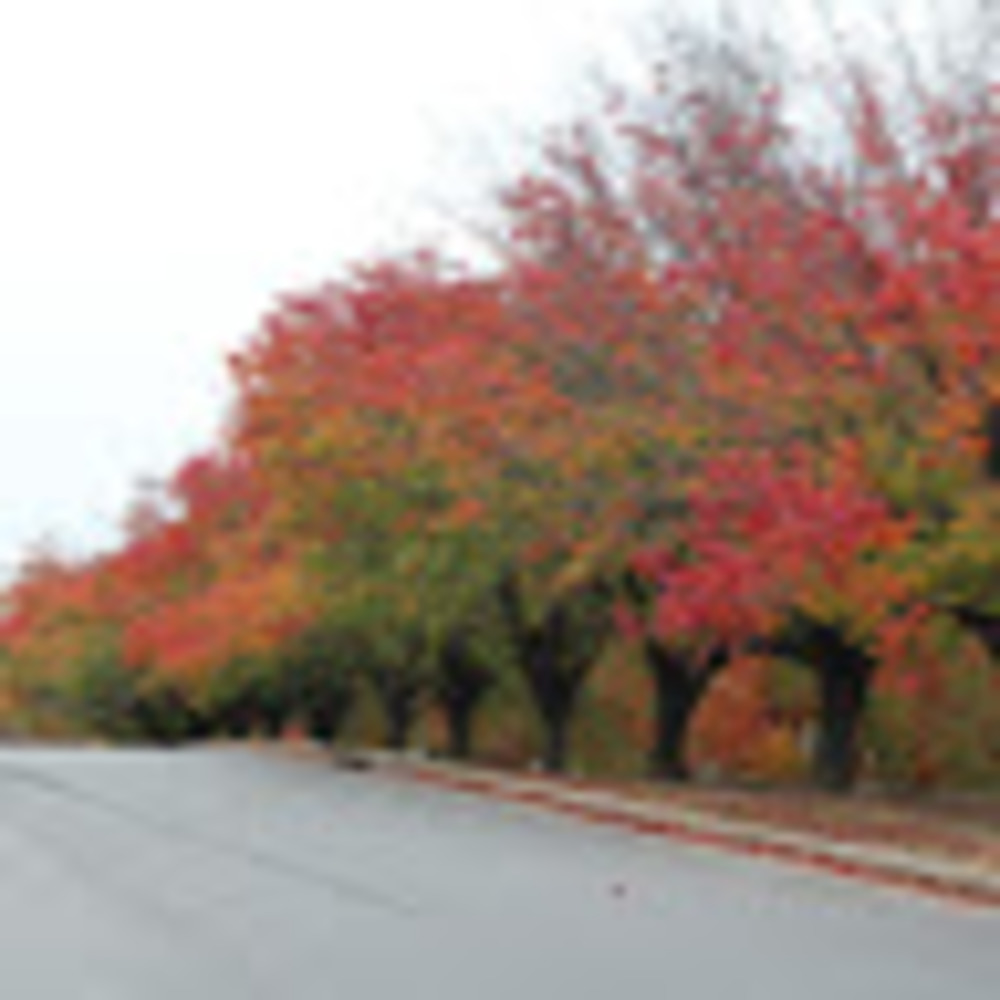 Meet your Posher, Kiran